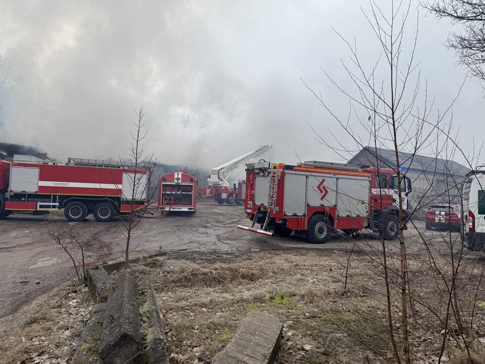 Klaipėdos rajone užsiliepsnojo medžio apdirbimo įmonė