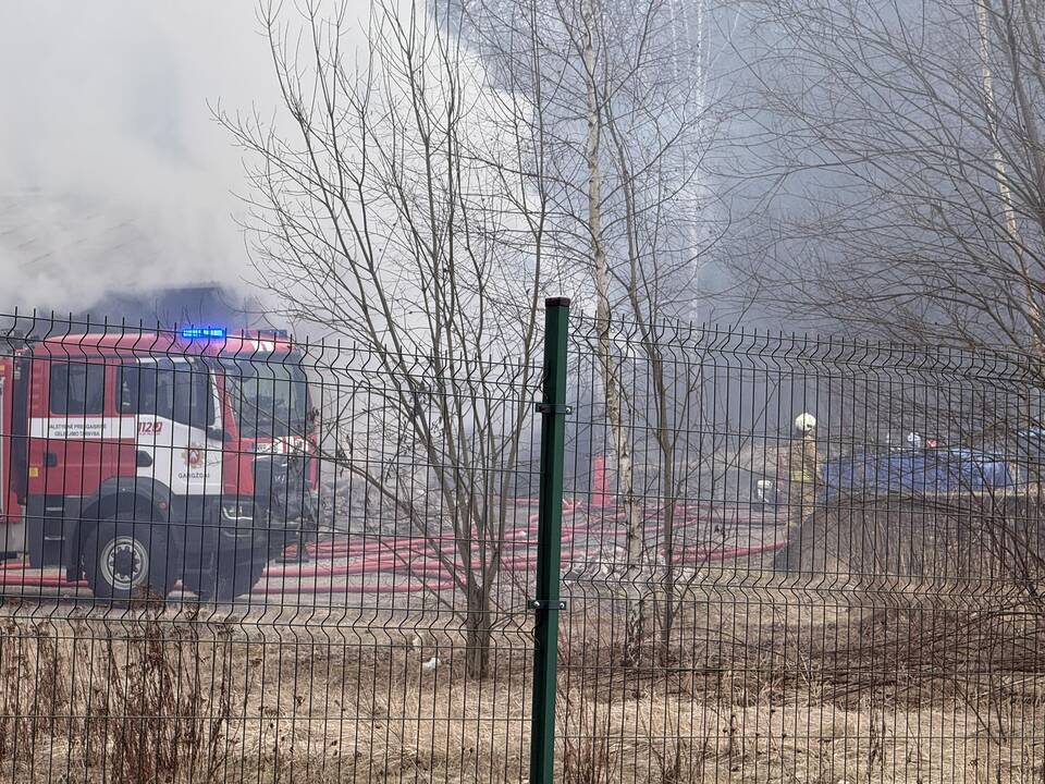 Klaipėdos rajone užsiliepsnojo medžio apdirbimo įmonė