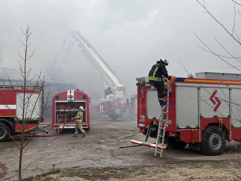Klaipėdos rajone užsiliepsnojo medžio apdirbimo įmonė