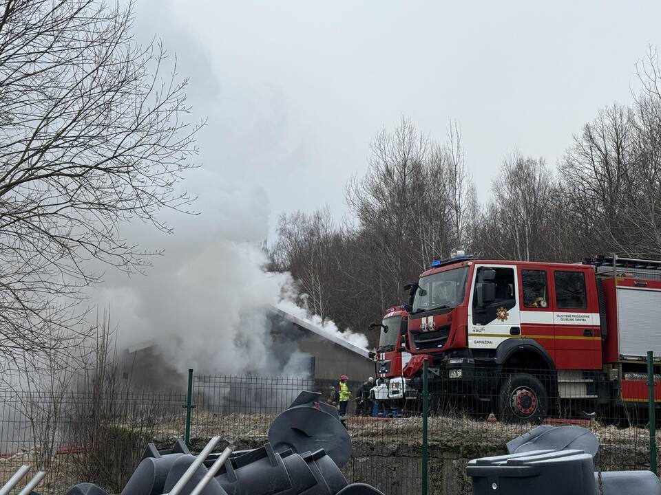 Klaipėdos rajone užsiliepsnojo medžio apdirbimo įmonė