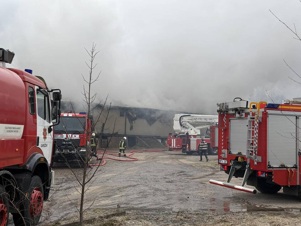 Klaipėdos rajone užsiliepsnojo medžio apdirbimo įmonė
