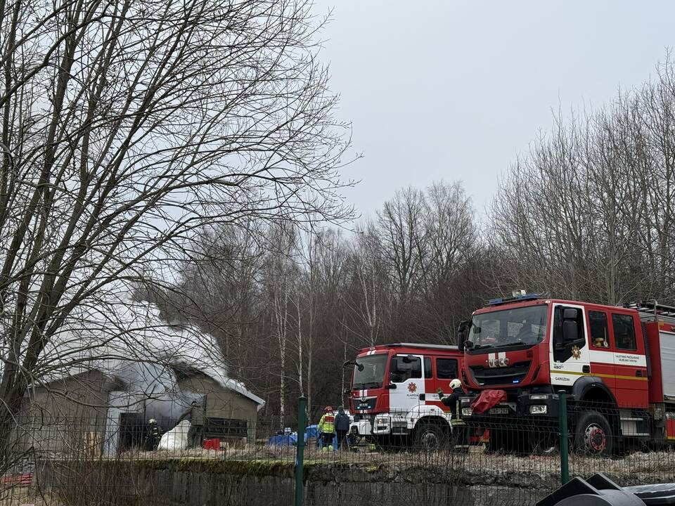 Klaipėdos rajone užsiliepsnojo medžio apdirbimo įmonė