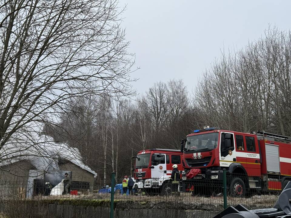 Klaipėdos rajone užsiliepsnojo medžio apdirbimo įmonė