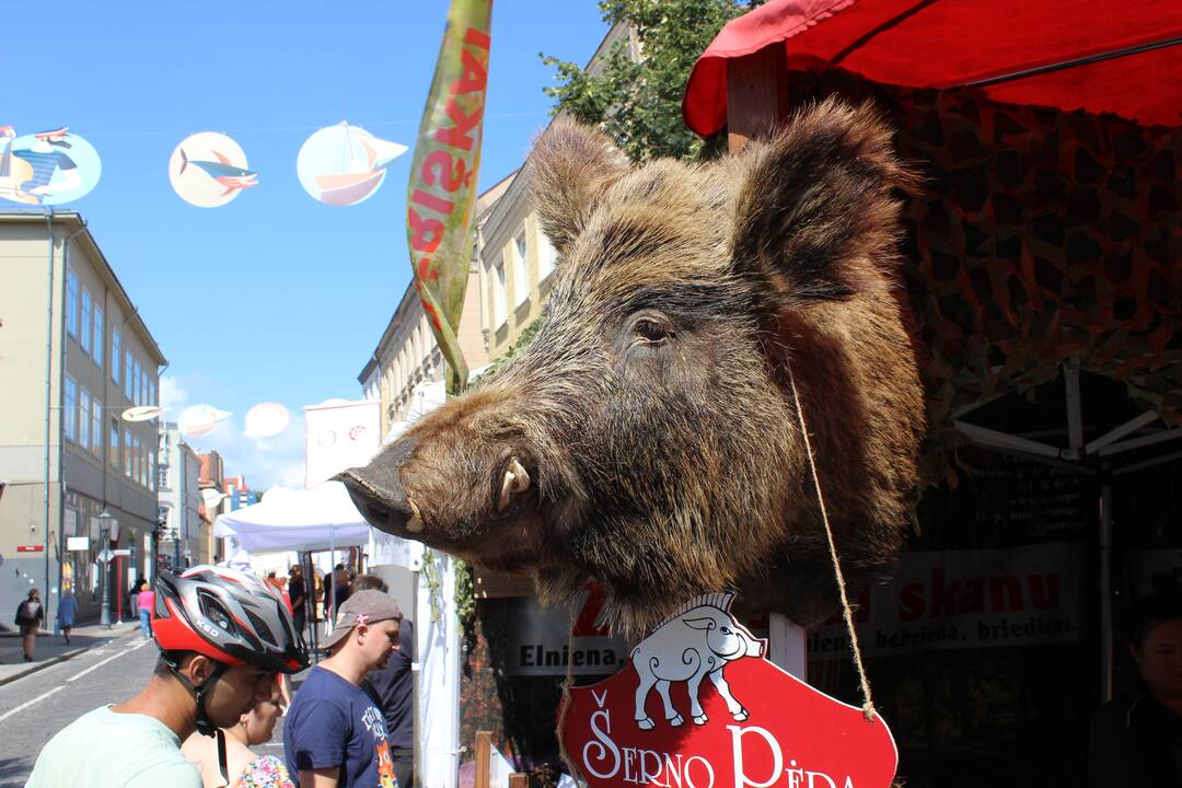 Tradicija: svarbiausia šventėje – pamatyti kasmet vis kitokią eiseną.
