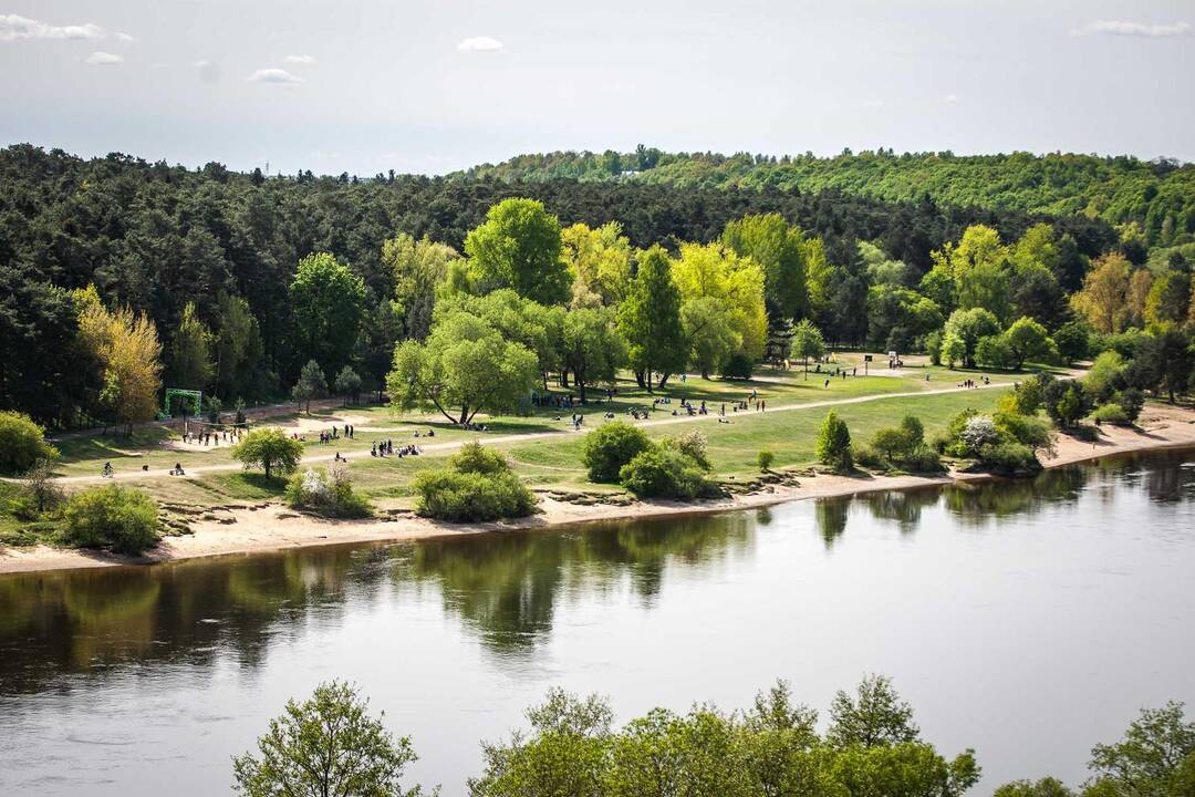 Sporto šventė Panemunės šile