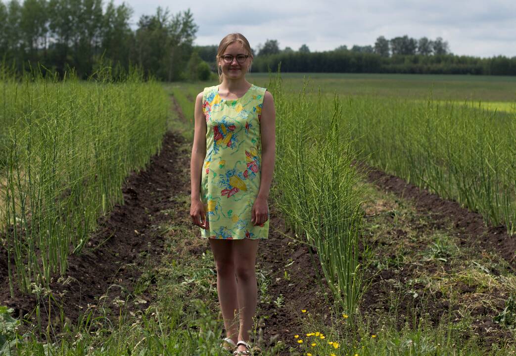 Ūkininkė K. Meidė pastebi: be paramos jos šeima nebūtų galėjusi įsiveisti smidrų plantacijos, nes jų sodinukai yra gana brangūs. 