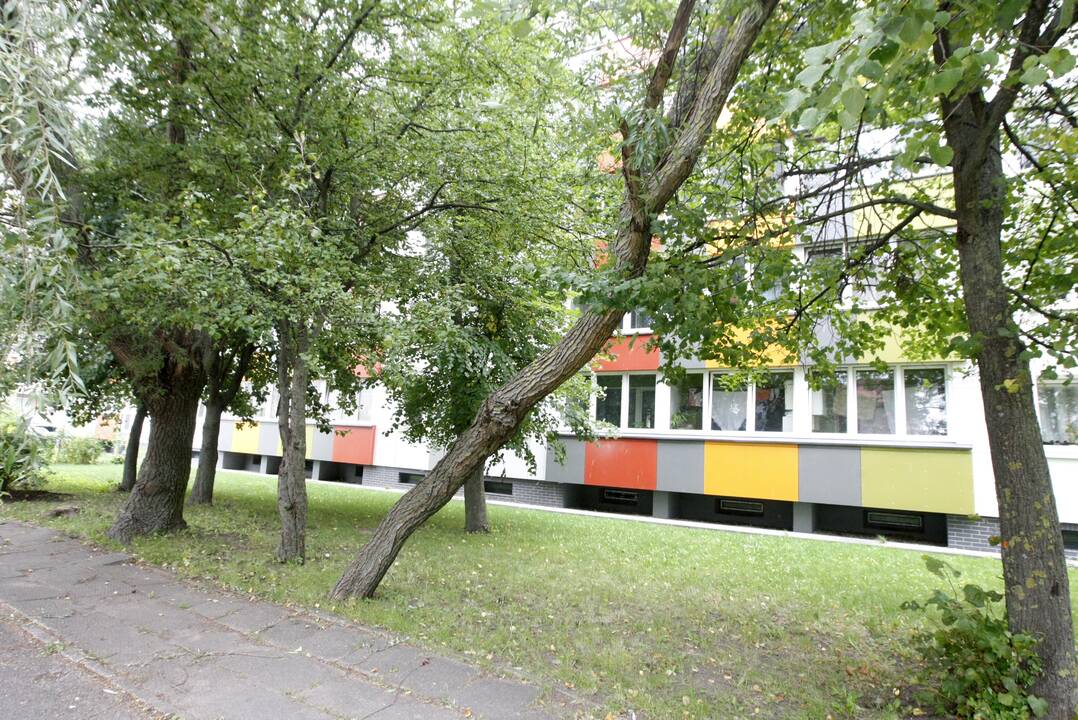 Nerimas: gyventojai, matydami savo kieme tokius medžius, baiminasi, kad vieną dieną jie nukris ant praeivių galvų.