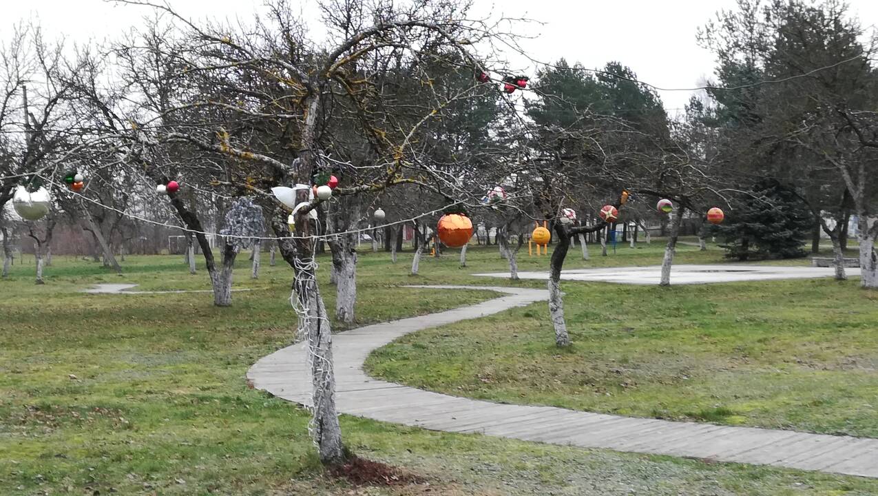 Tradicija: agluonėniškiai puošia savo sodą septintus metus, dekoracijų kasmet – vis daugiau.