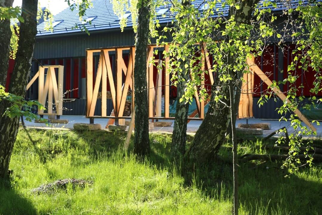 Neringos miško architektūra. 2020. Kuršių nerijoje iškirstos medienos perdirbimas.