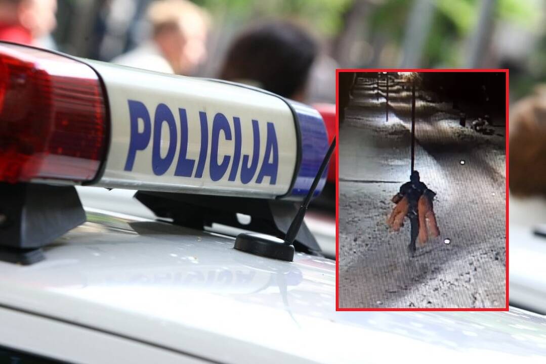 Panevėžyje – neeilinė vagystė: pagrobti du dideli pliušiniai meškinai