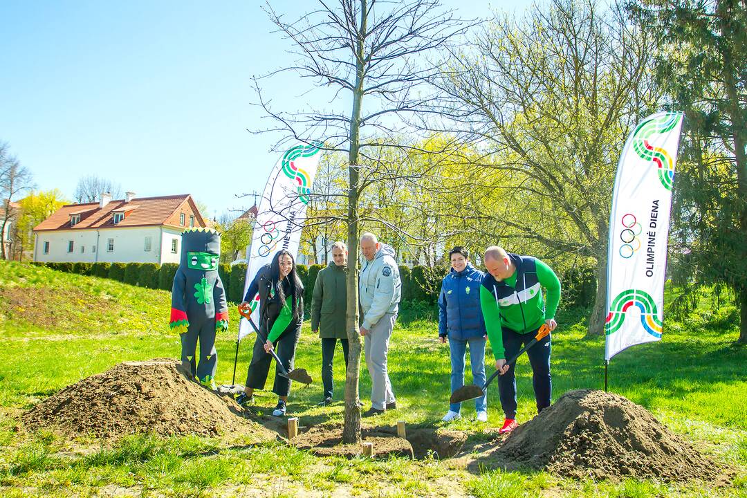 Simbolis: Kaune vyksiančią Olimpinę dieną įprasmins lietuviškas ąžuolas.