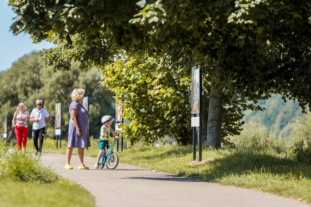 Ekspozicija: jei užsuksite į Liepų parką, jame galėsite susipažinti su V.Janiselio darbais.