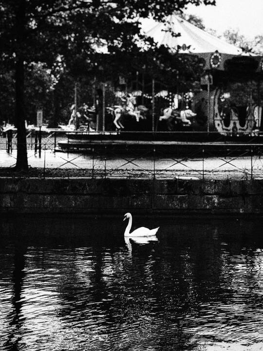 Vasaros laikas. Aix-les-Bains, Prancūzija, 2021. iPhone 12 Pro Max