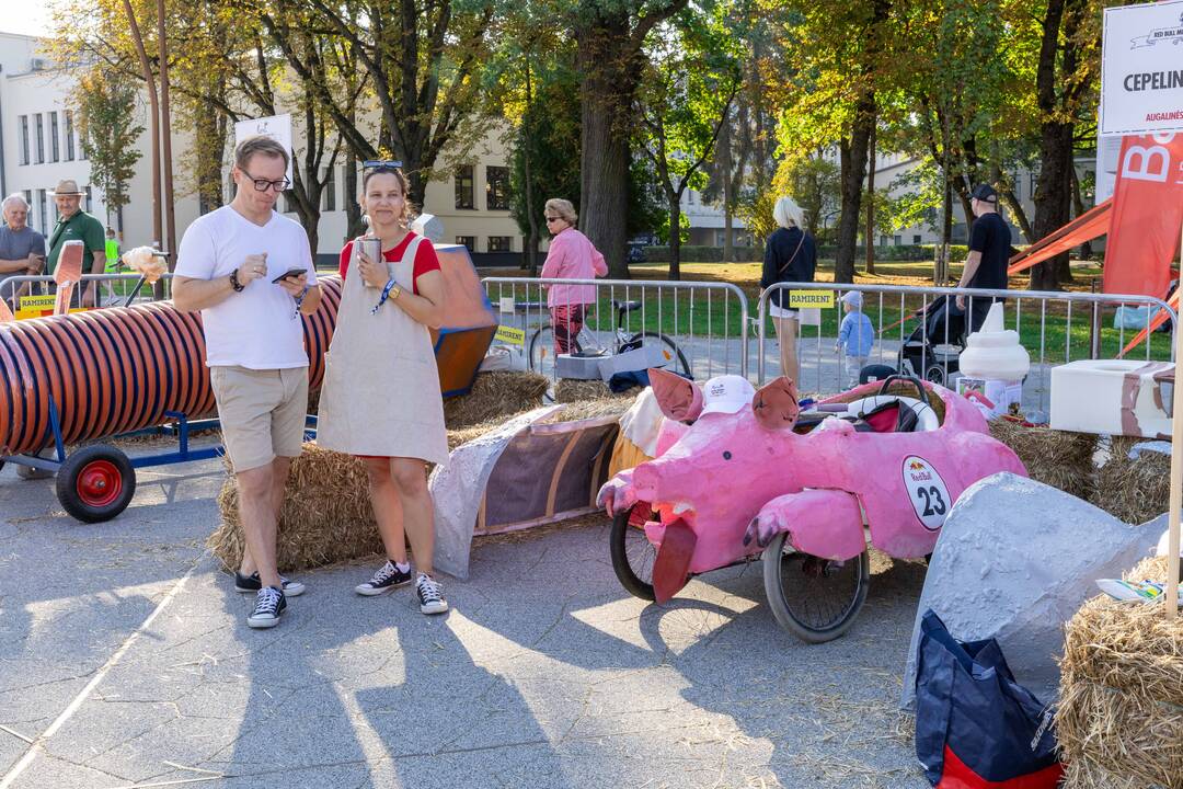 „Muilinių“ lenktynės 2024.