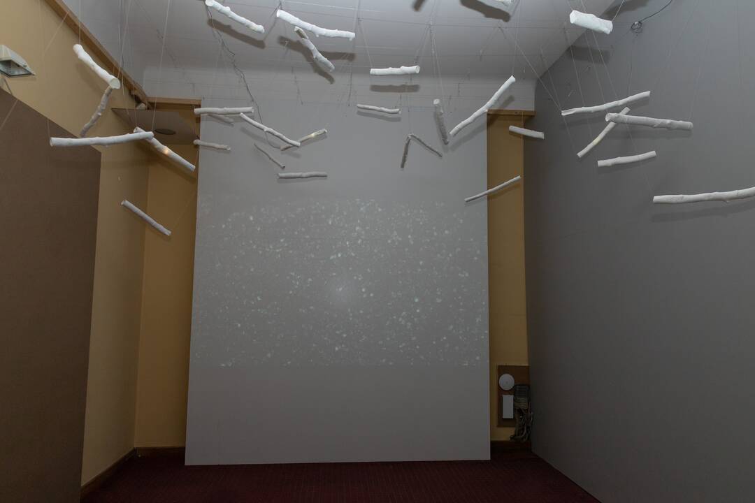 Alison Safford