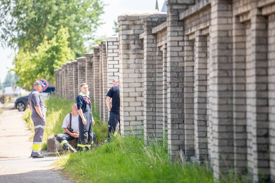 Aleksote rastos dvi aviacinės bombos