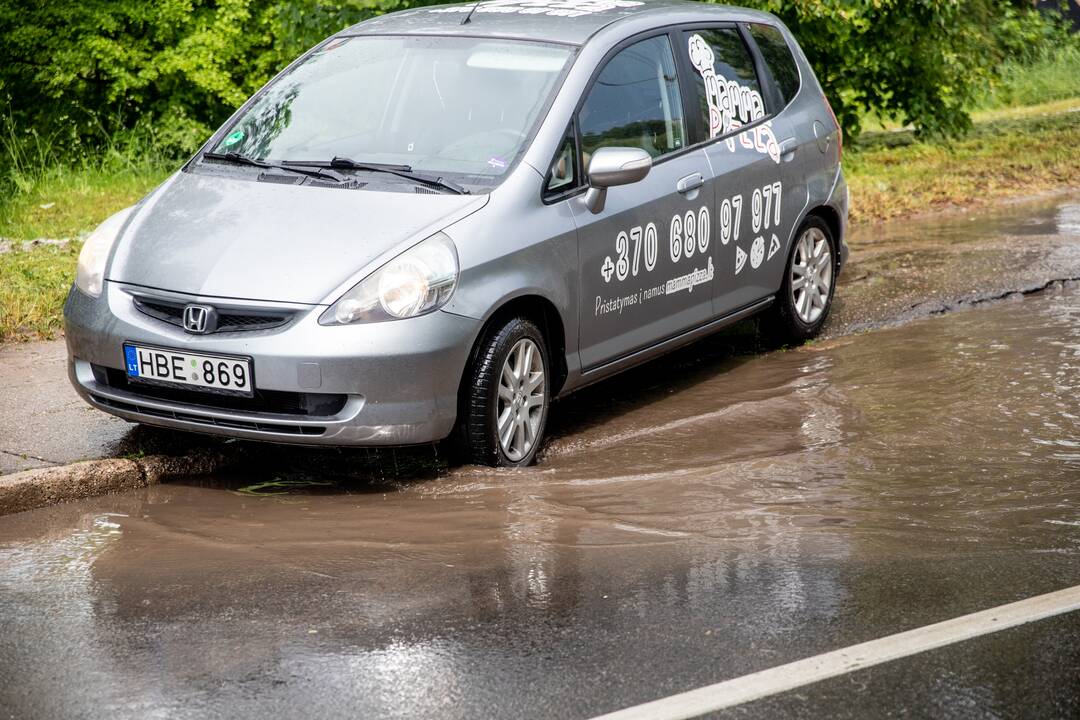 Liūtis ir kruša Kaune