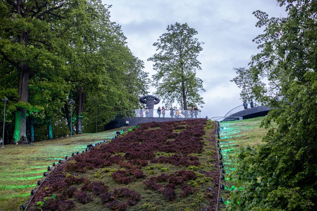Šventinės šviesos instaliacijos