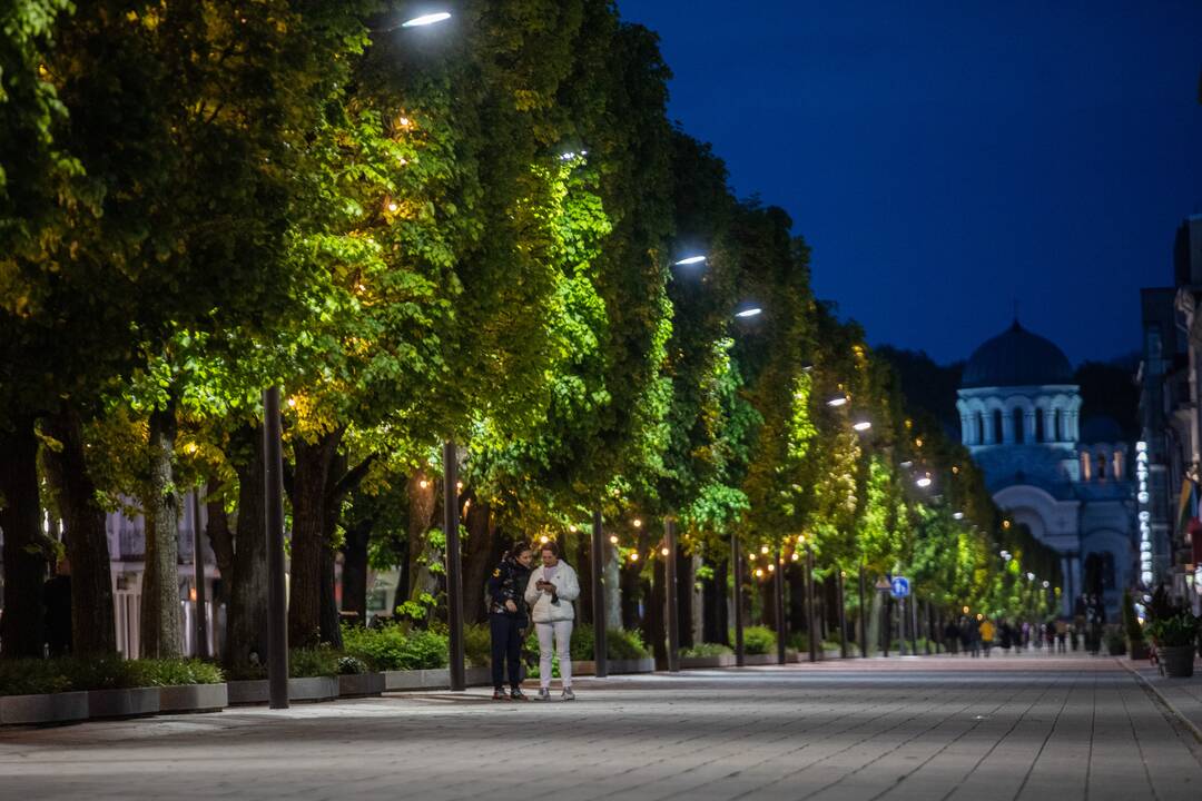 Šventinės šviesos instaliacijos