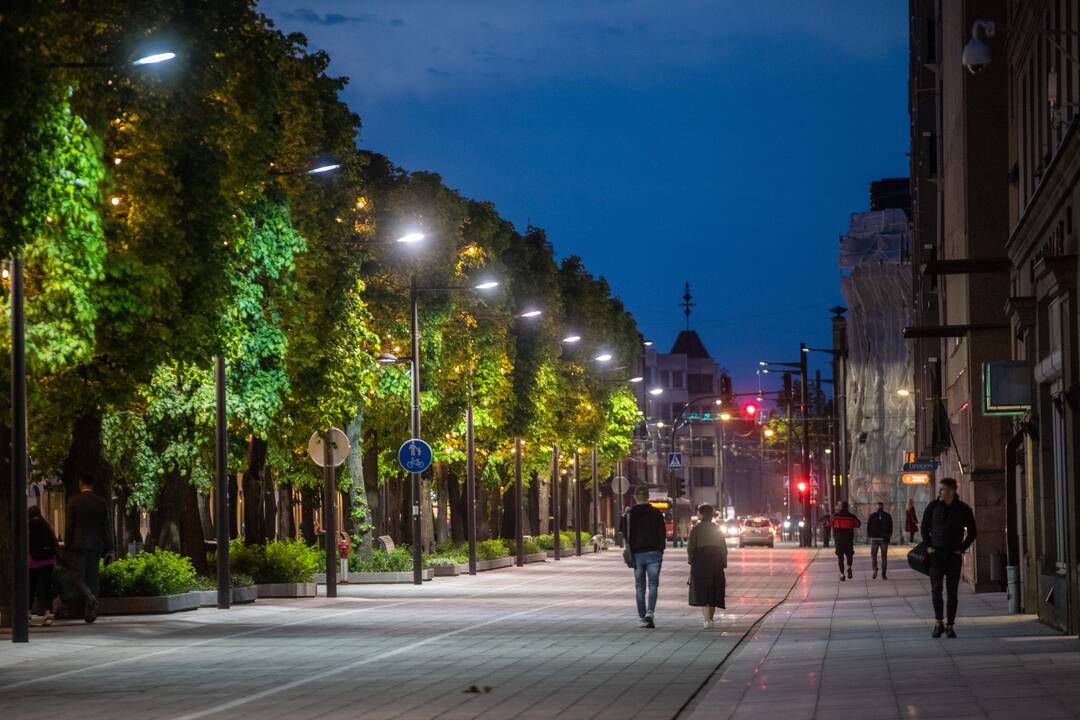 Šventinės šviesos instaliacijos