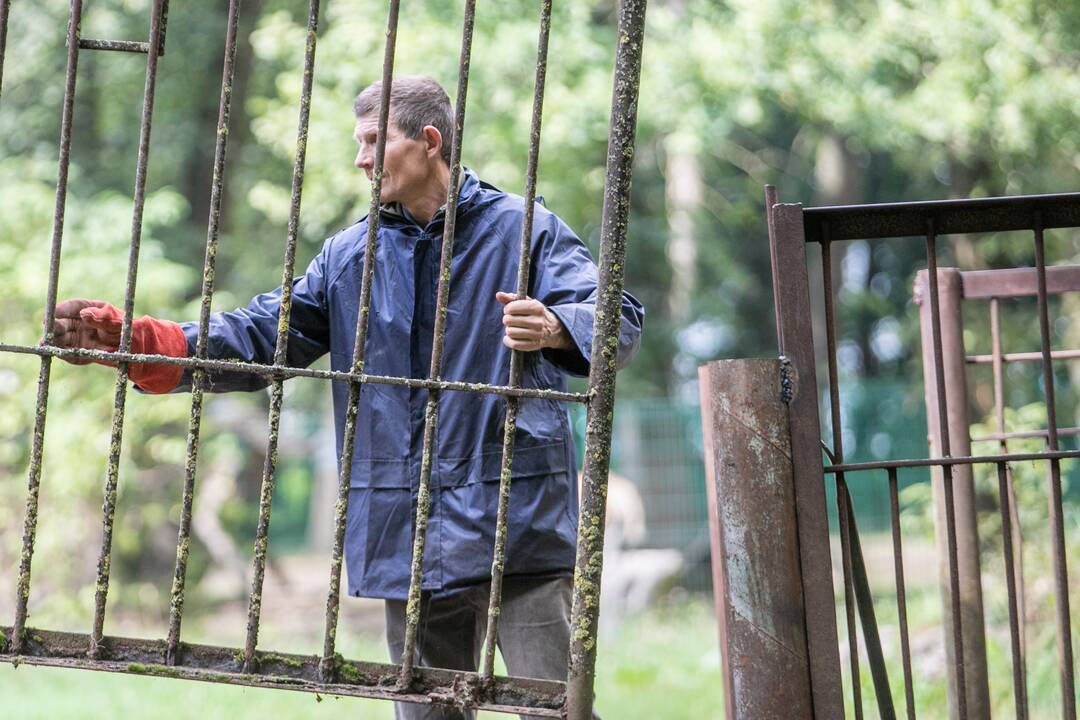Lietuvos zoologijos sode karaliauja statybų technika