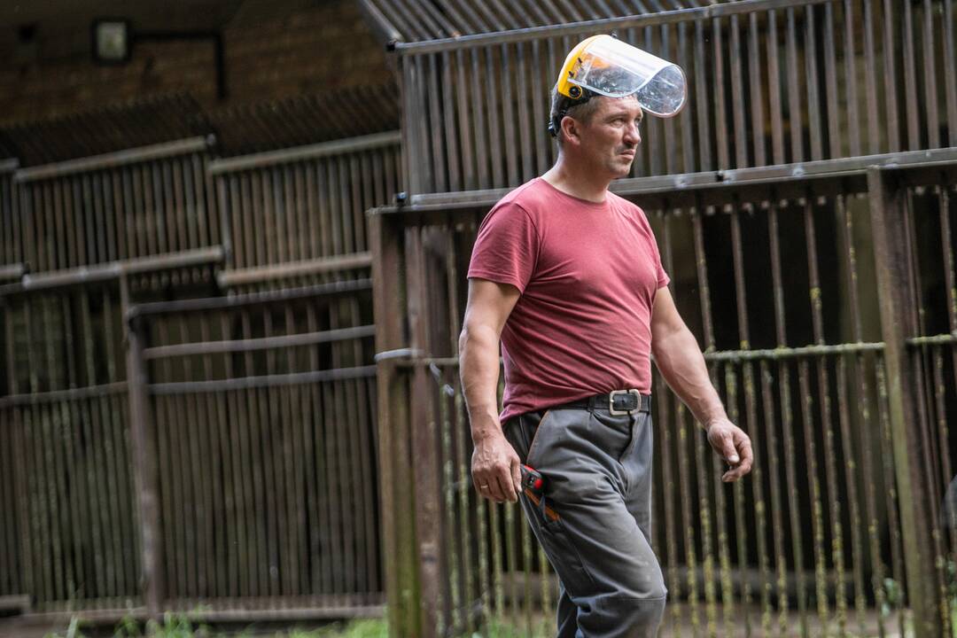 Lietuvos zoologijos sode karaliauja statybų technika