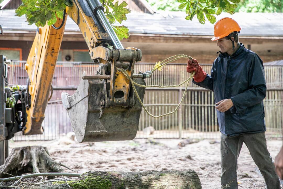 Lietuvos zoologijos sode karaliauja statybų technika