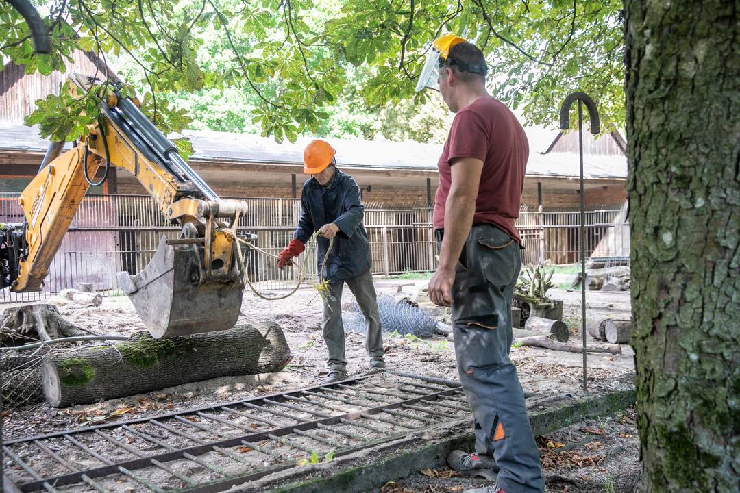 Lietuvos zoologijos sode karaliauja statybų technika