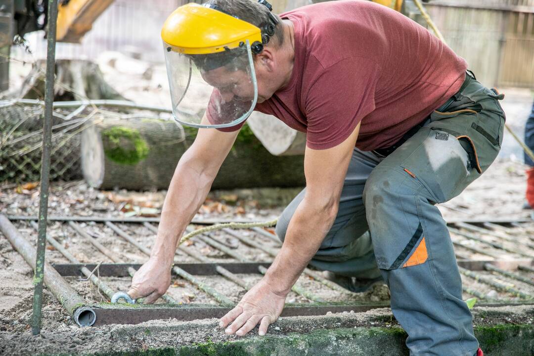 Lietuvos zoologijos sode karaliauja statybų technika