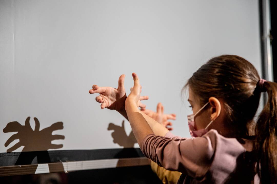 Festivalis „Nerk į teatrą 2021“
