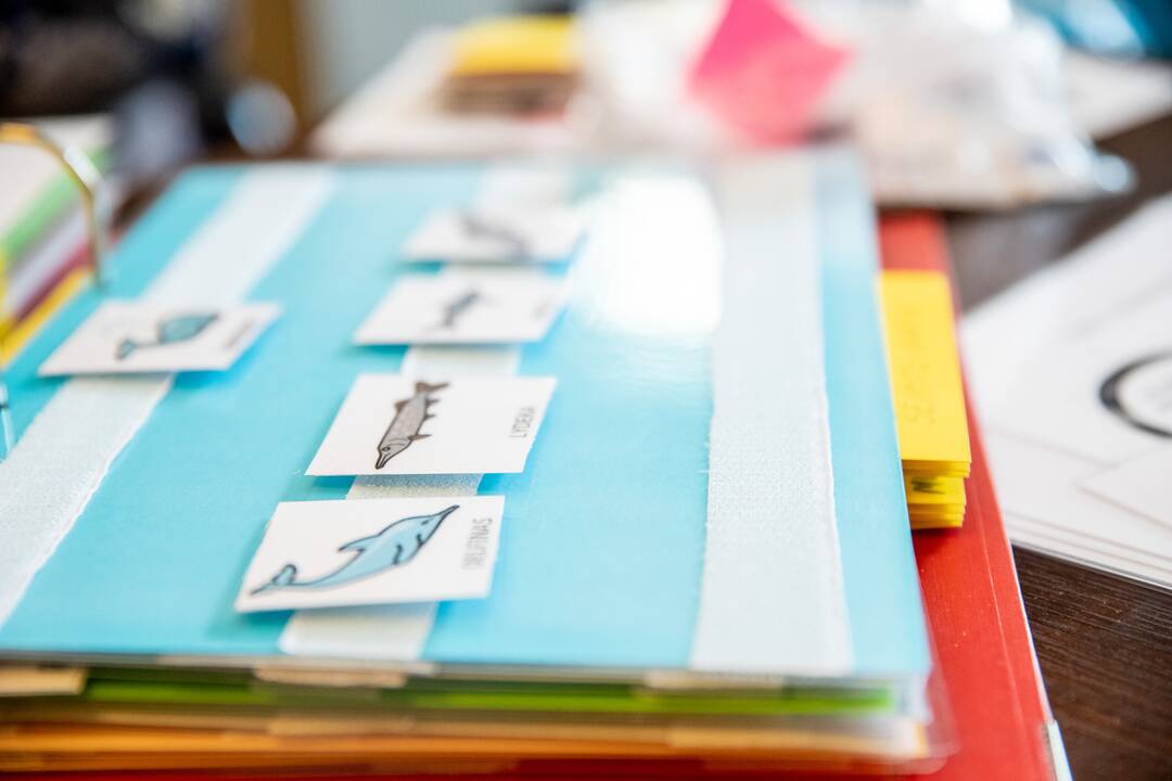 Festivalis „Nerk į teatrą 2021“