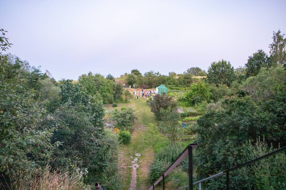 Drugelių paieškos Šilainiuose