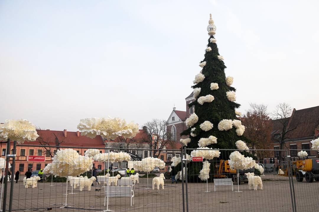 Kauno kalėdinės eglutės pristatymas