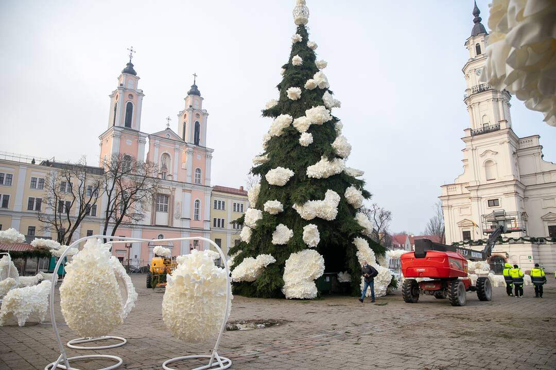 Kauno kalėdinės eglutės pristatymas