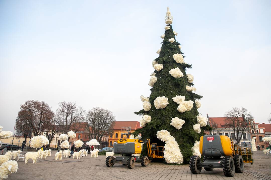 Kauno kalėdinės eglutės pristatymas