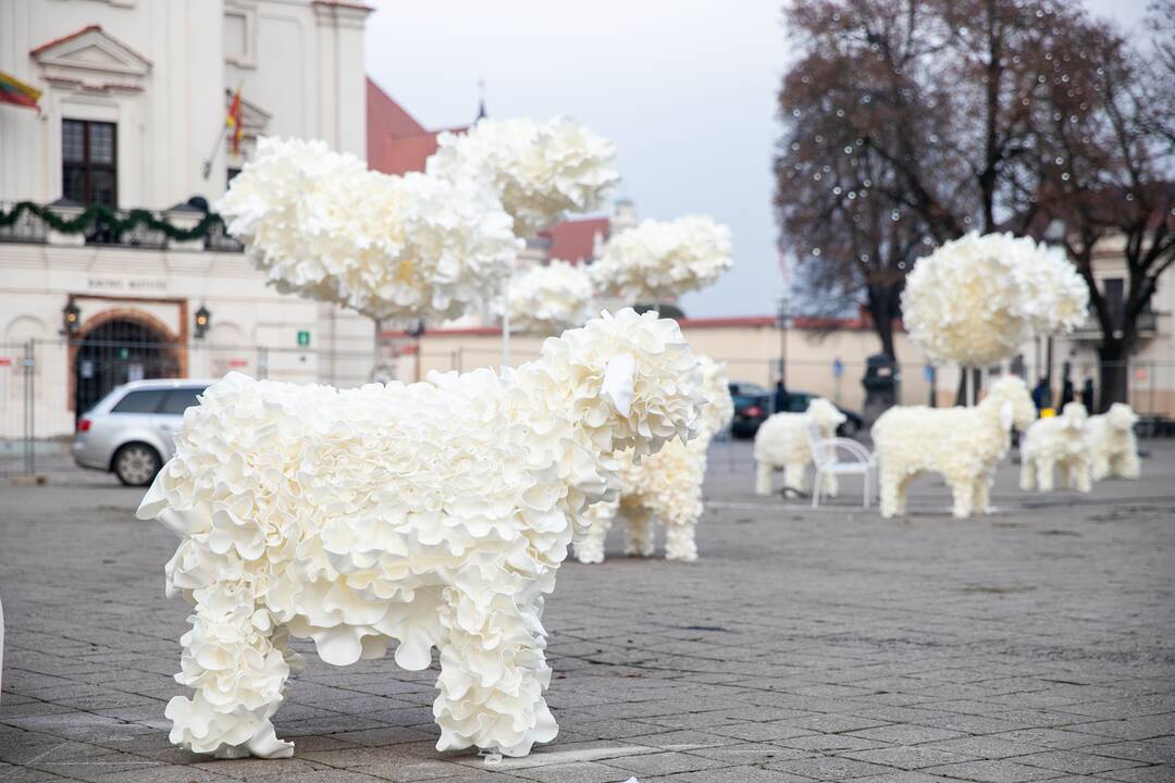Kauno kalėdinės eglutės pristatymas