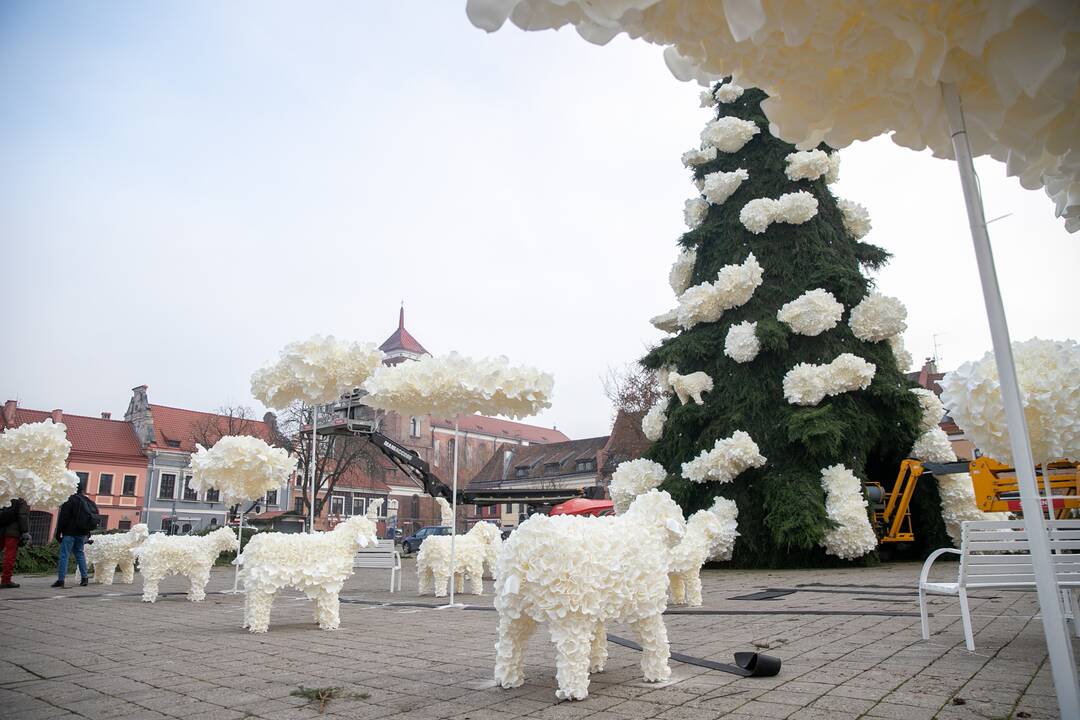 Kauno kalėdinės eglutės pristatymas