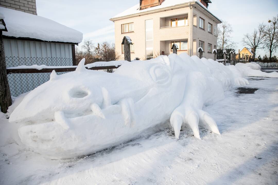 Sniego drakonas Raudondvaryje