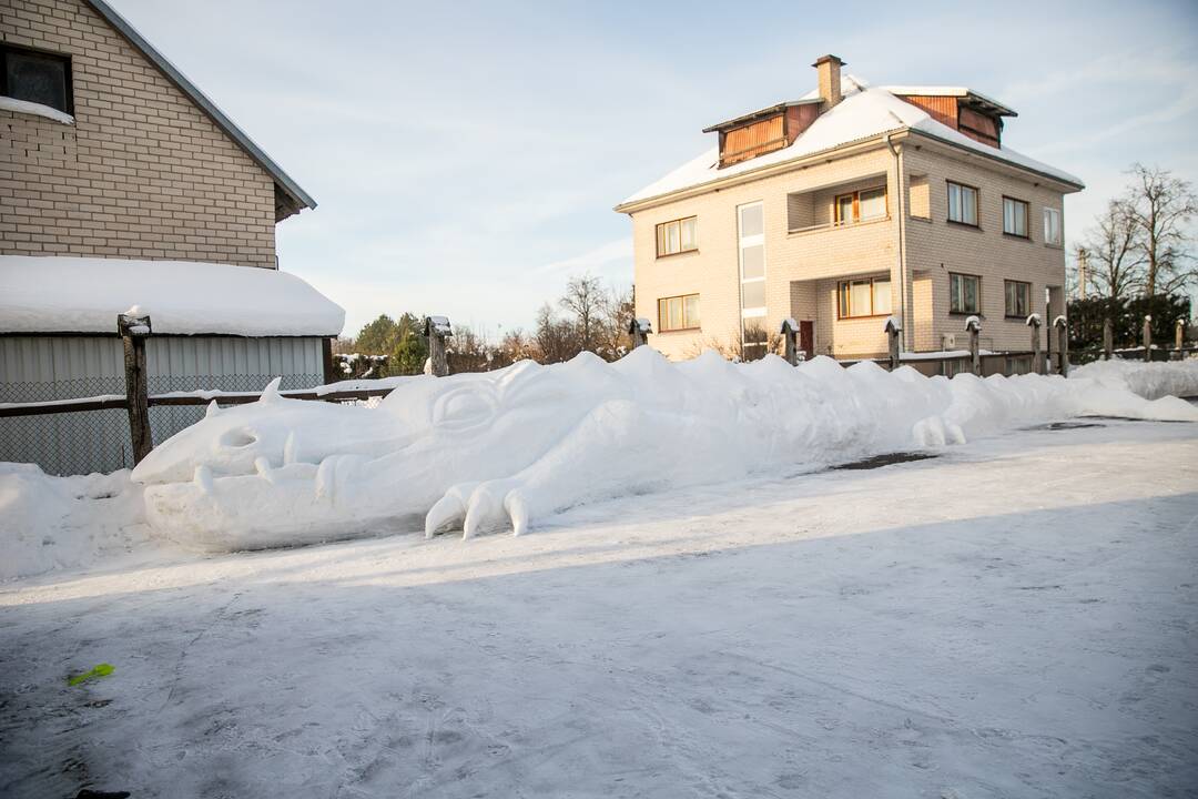 Sniego drakonas Raudondvaryje