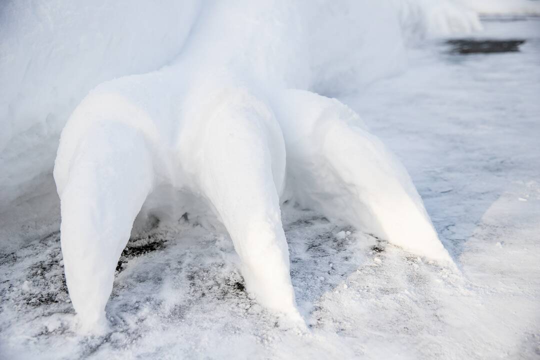 Sniego drakonas Raudondvaryje