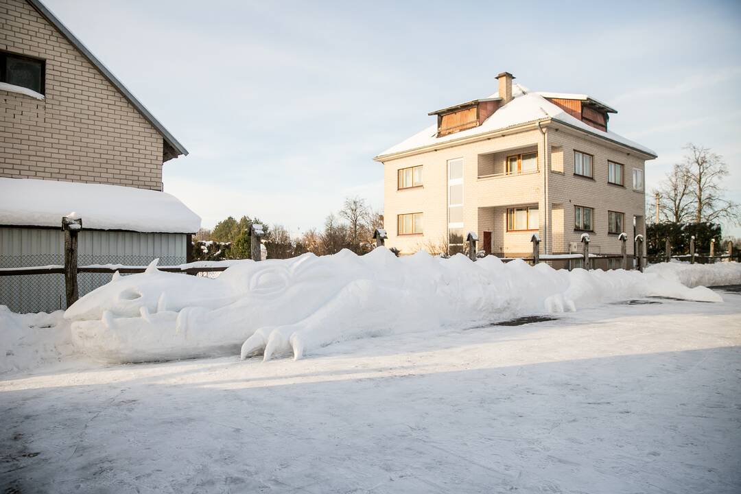 Sniego drakonas Raudondvaryje