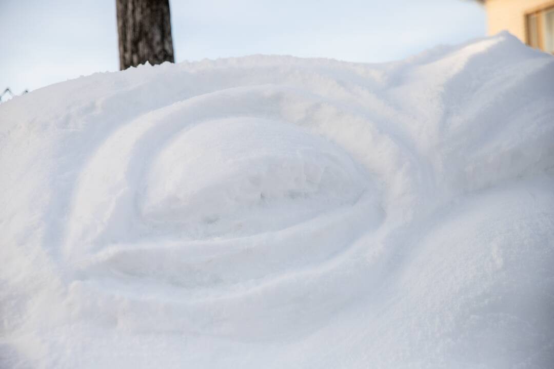 Sniego drakonas Raudondvaryje