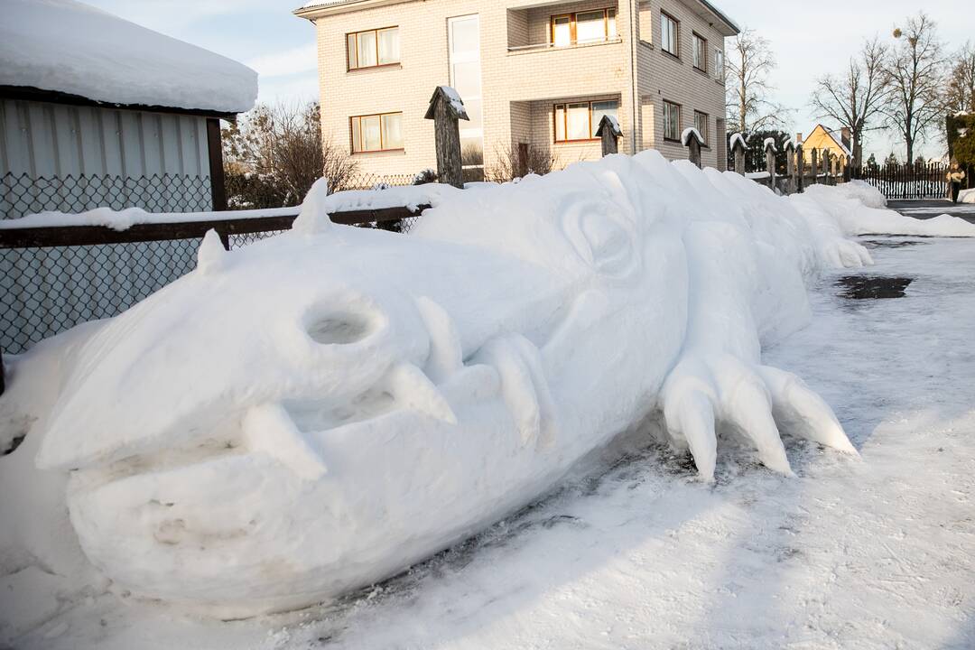 Sniego drakonas Raudondvaryje