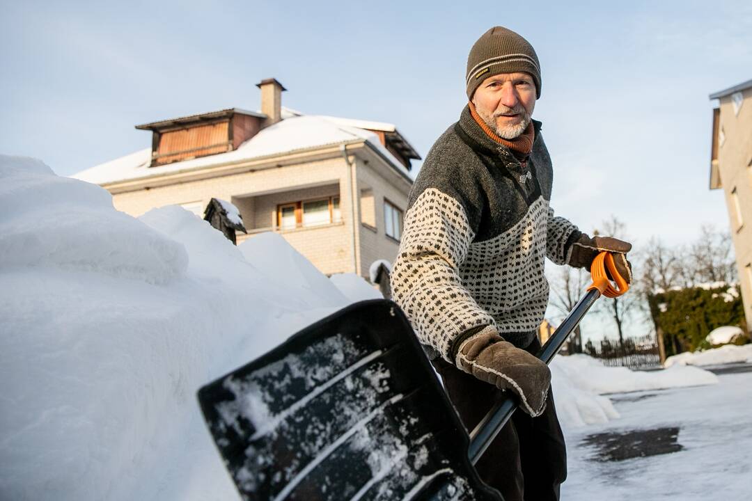 Sniego drakonas Raudondvaryje