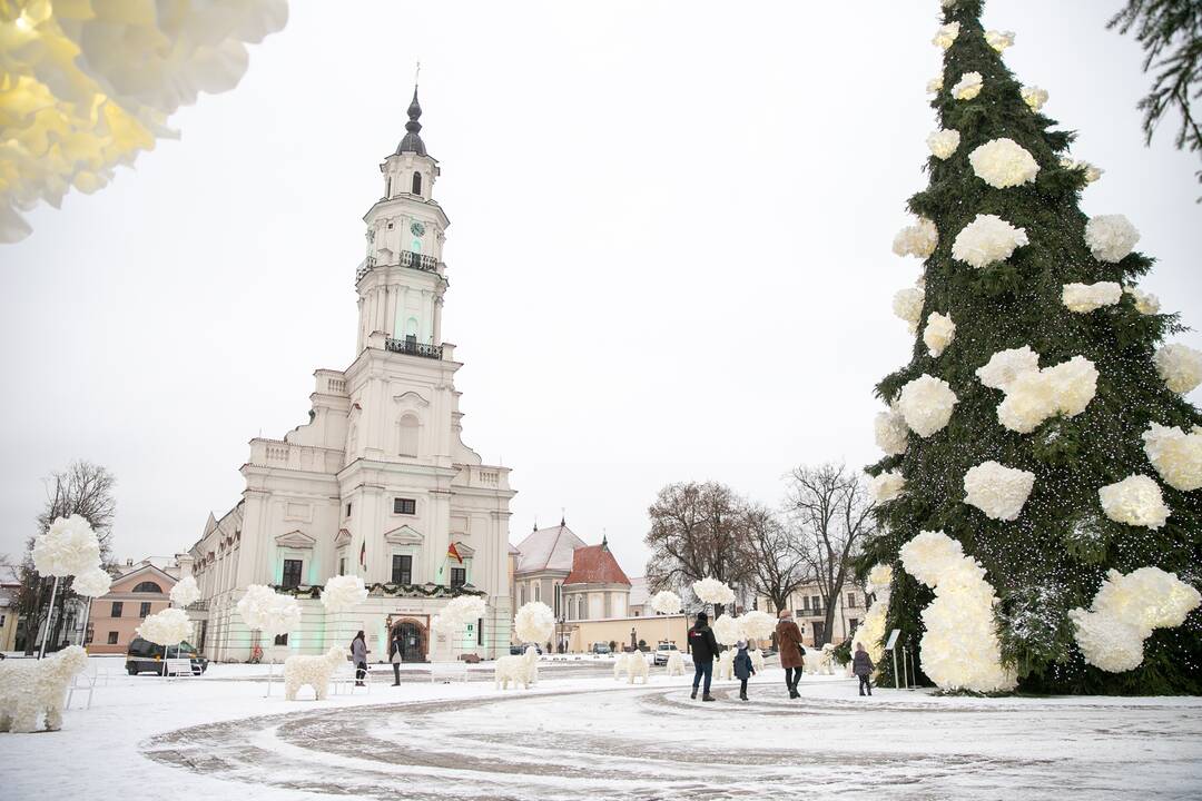 Pirmasis gausus žiemos sniegas