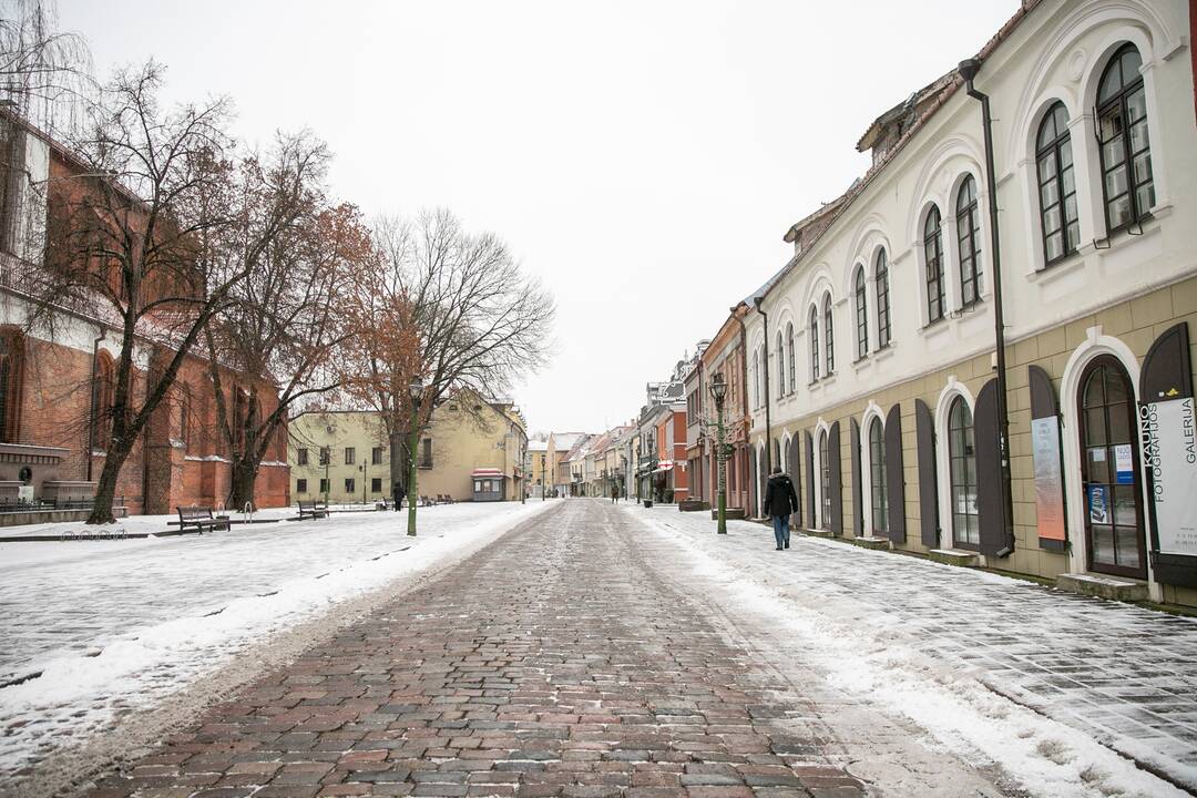Pirmasis gausus žiemos sniegas