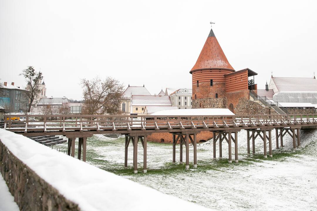 Pirmasis gausus žiemos sniegas