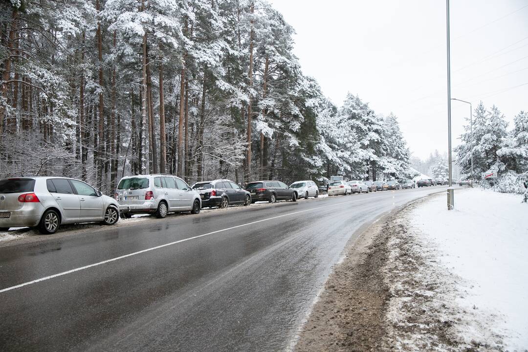 Su rogėmis ir čiuožynėmis kauniečiai šturmavo parkus ir miškus