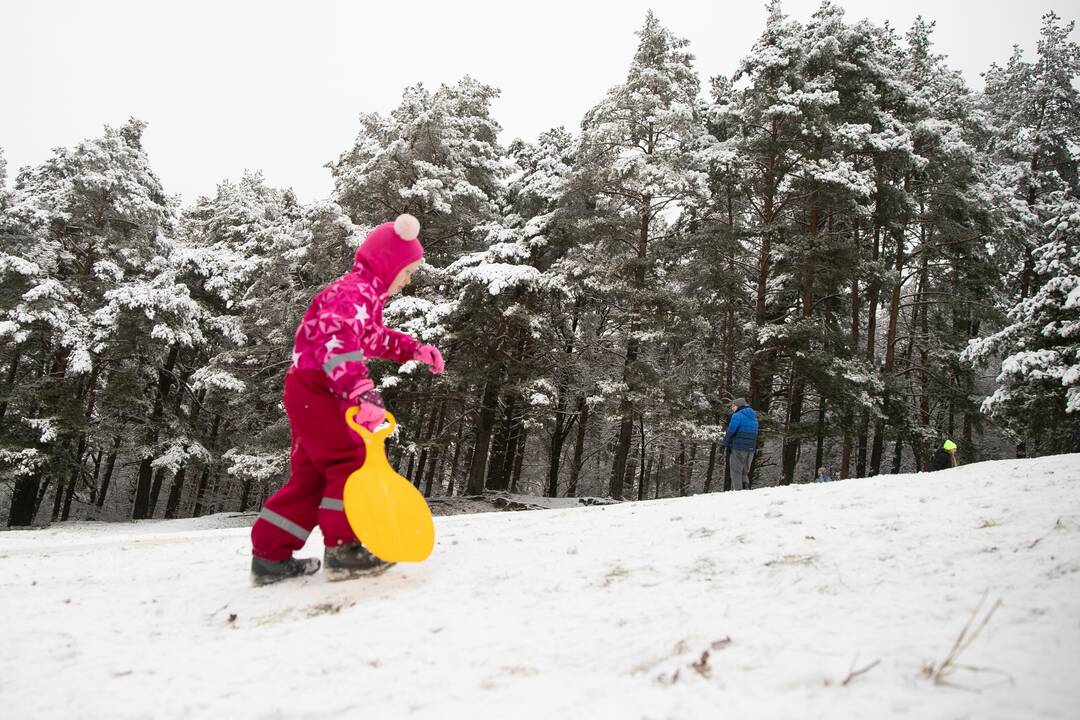 Su rogėmis ir čiuožynėmis kauniečiai šturmavo parkus ir miškus