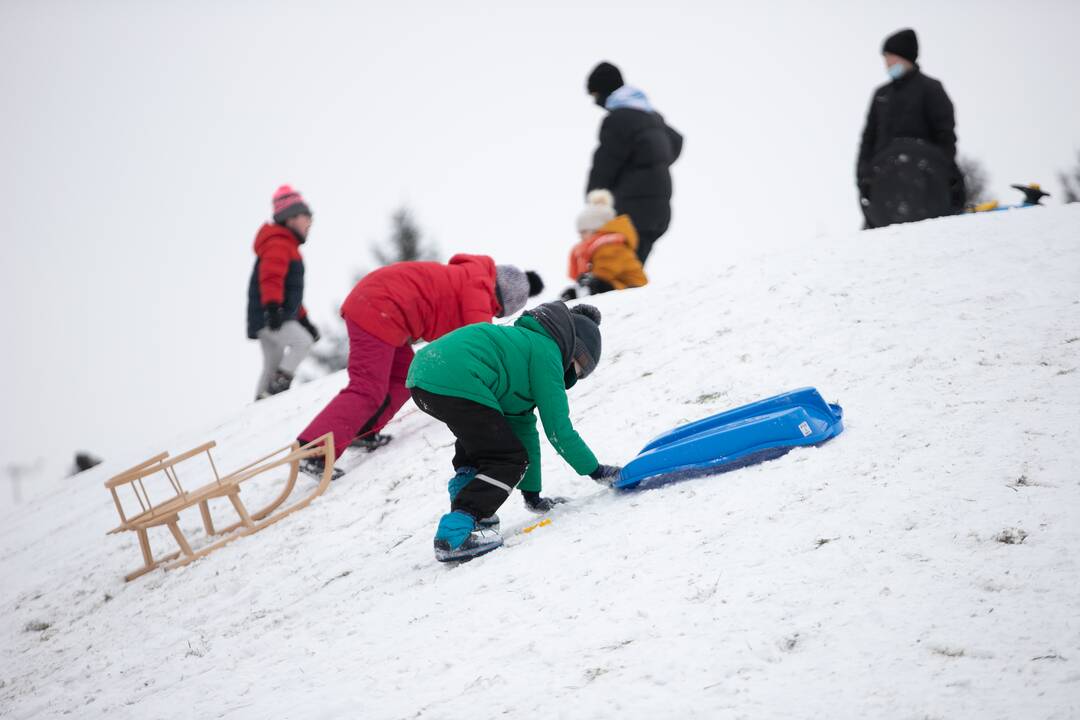 Su rogėmis ir čiuožynėmis kauniečiai šturmavo parkus ir miškus